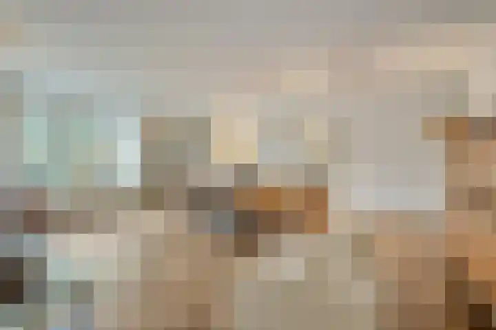 De Boonte 22 Budel foto 2