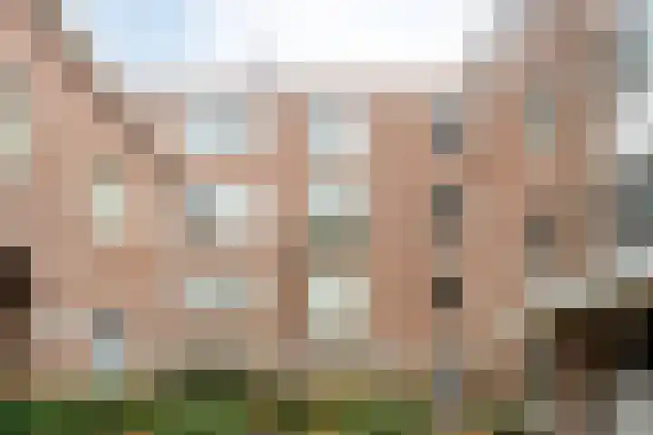 De Boonte 22 Budel thumbnail 20