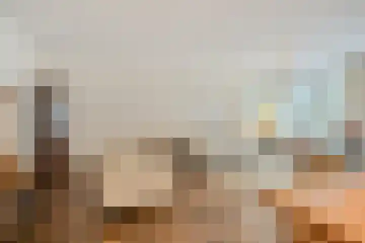 De Boonte 22 Budel foto 3