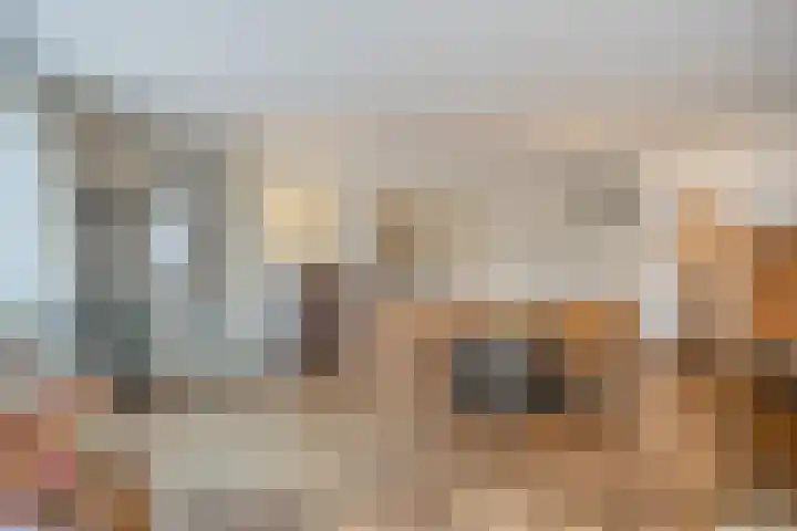 De Boonte 22 Budel thumbnail 5