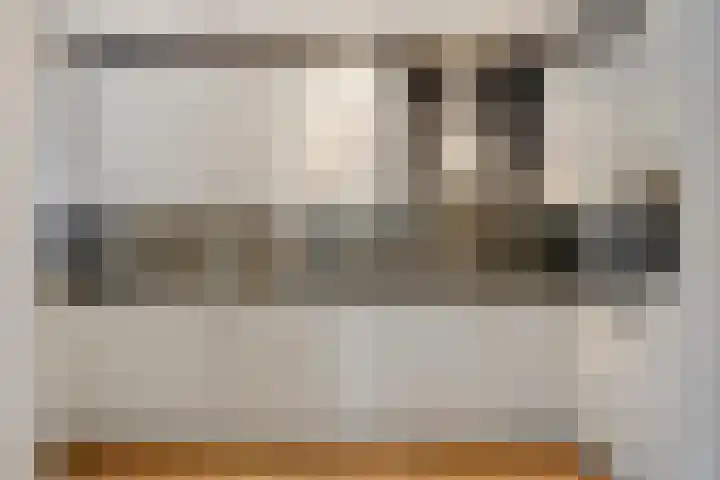 De Boonte 22 Budel thumbnail 7