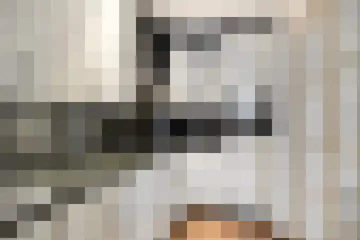 De Boonte 22 Budel thumbnail 8