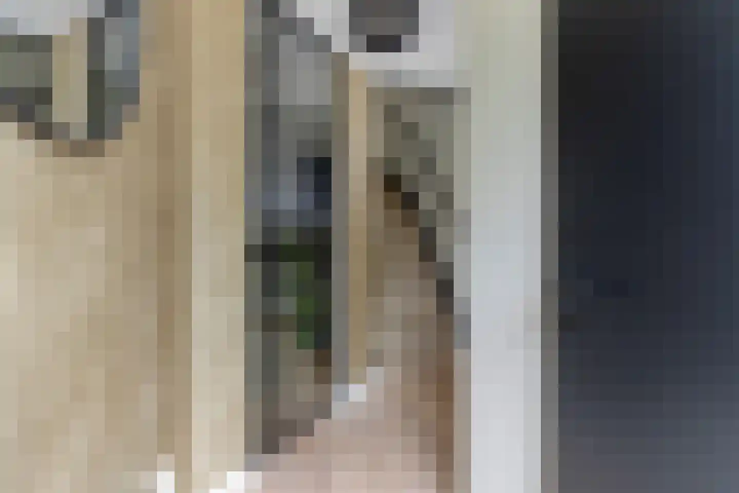 De Boonte 3 Budel thumbnail 12