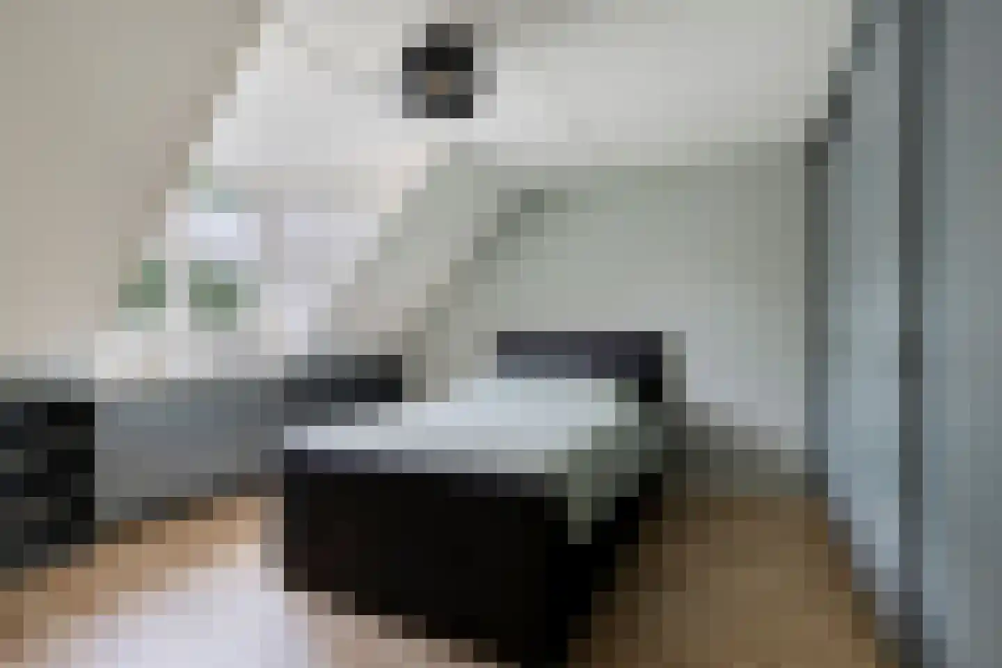 De Boonte 3 Budel thumbnail 16