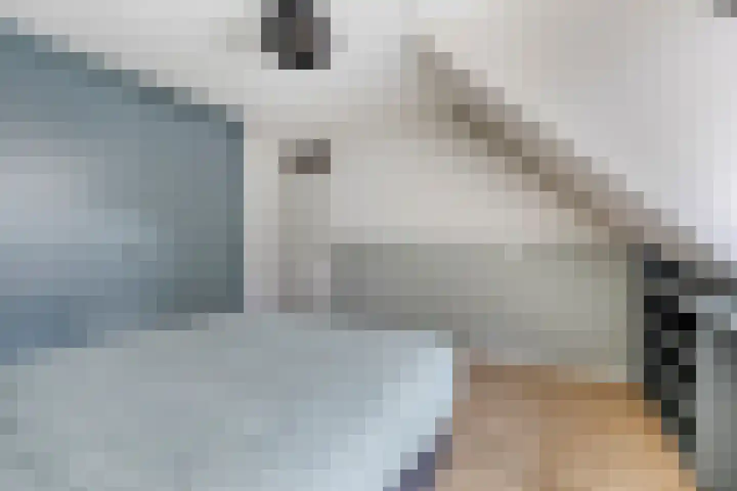 De Boonte 3 Budel thumbnail 17