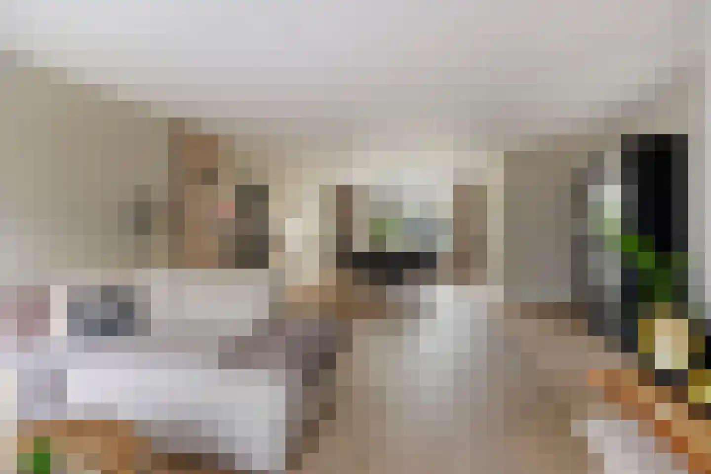 De Boonte 3 Budel foto 2