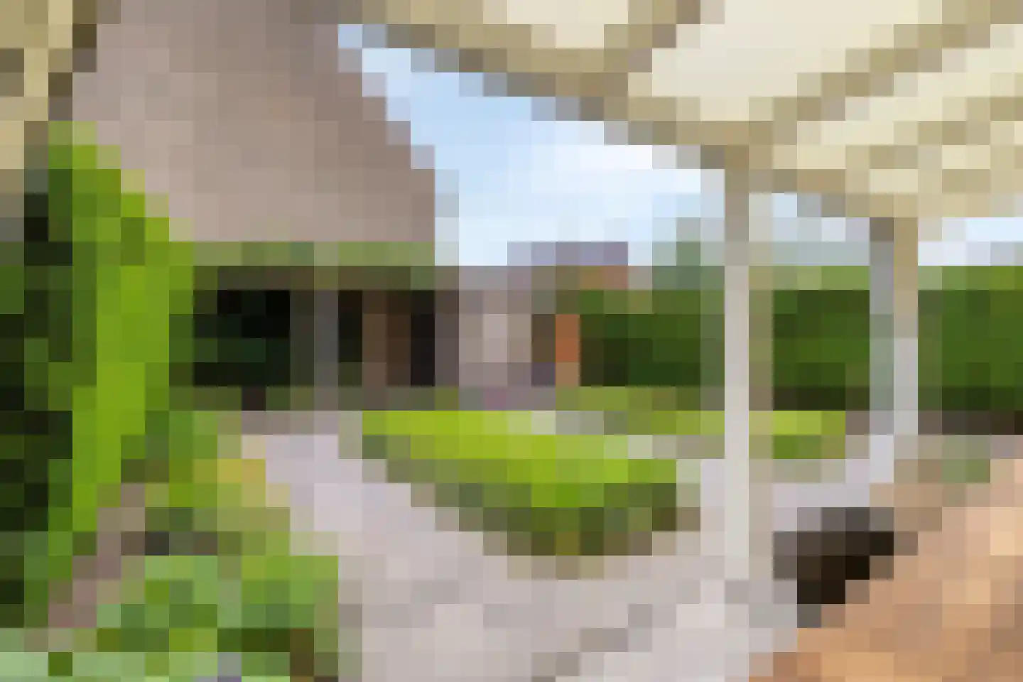 De Boonte 3 Budel thumbnail 33