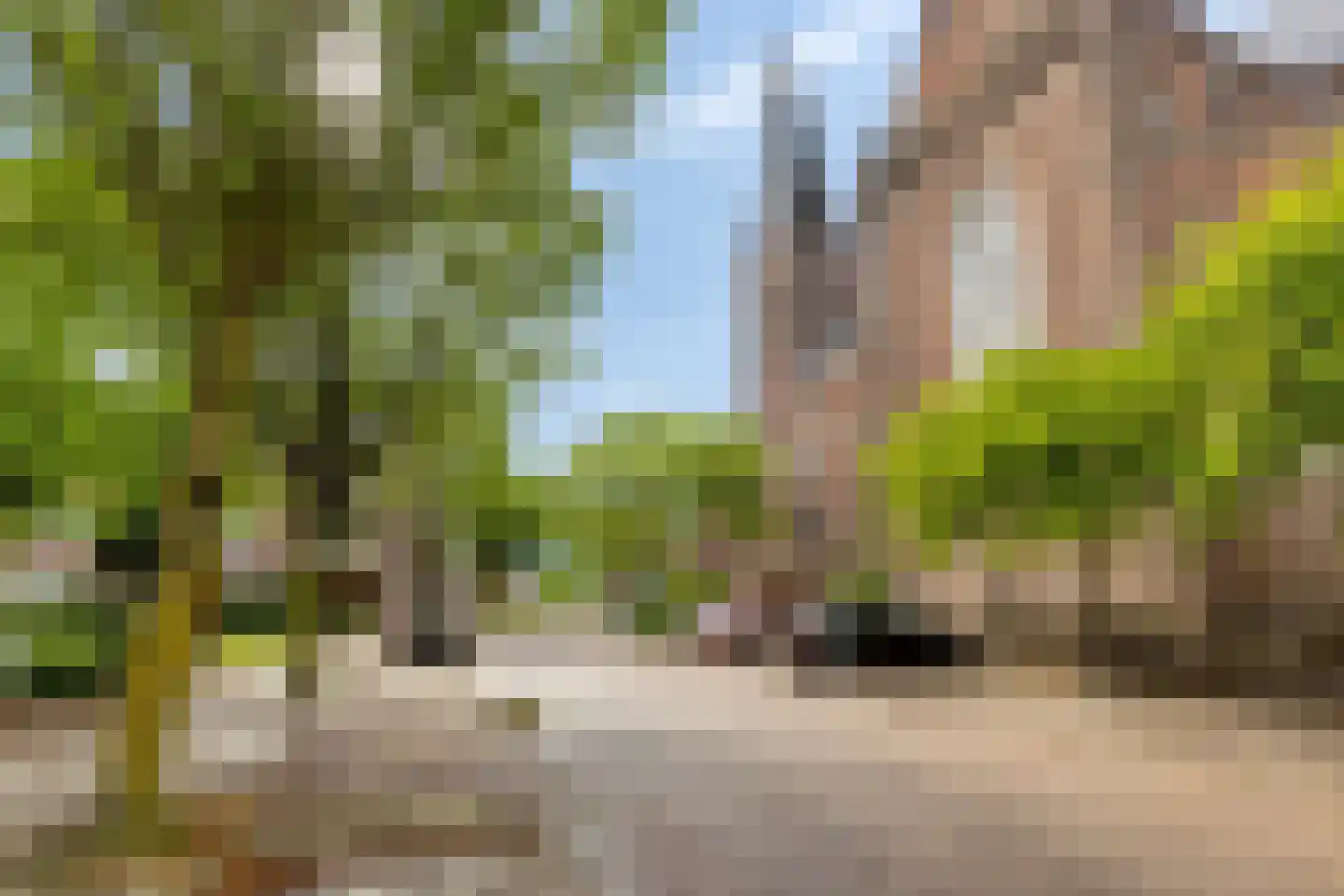 De Boonte 3 Budel thumbnail 38