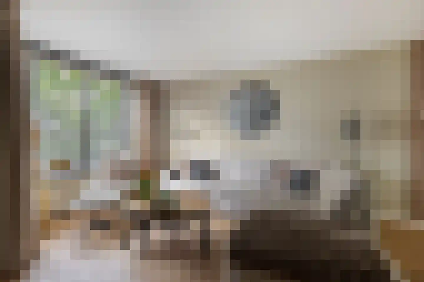 De Boonte 3 Budel thumbnail 4