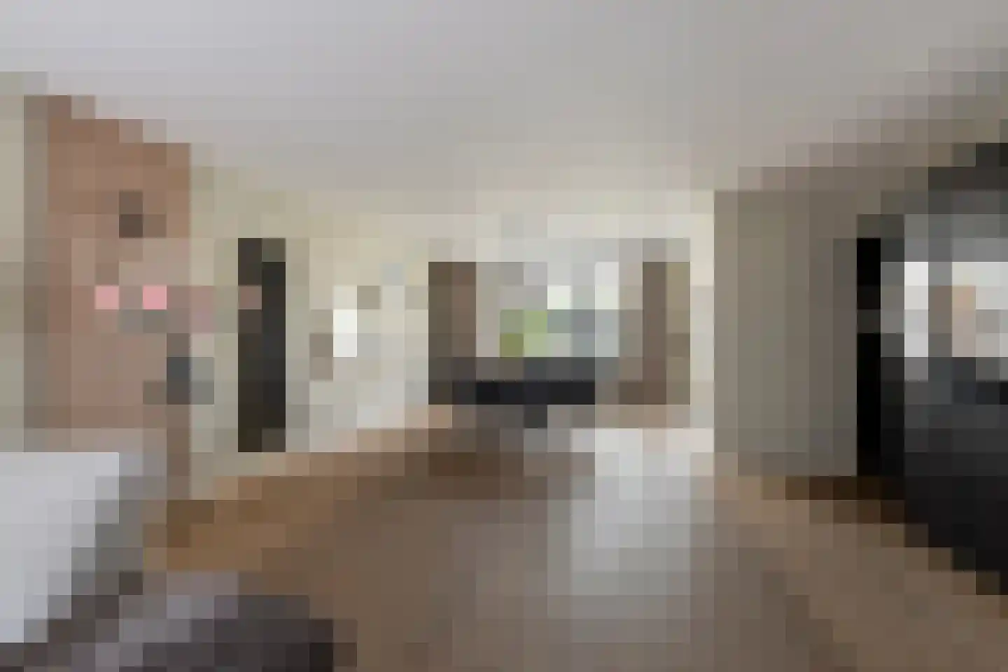 De Boonte 3 Budel thumbnail 5
