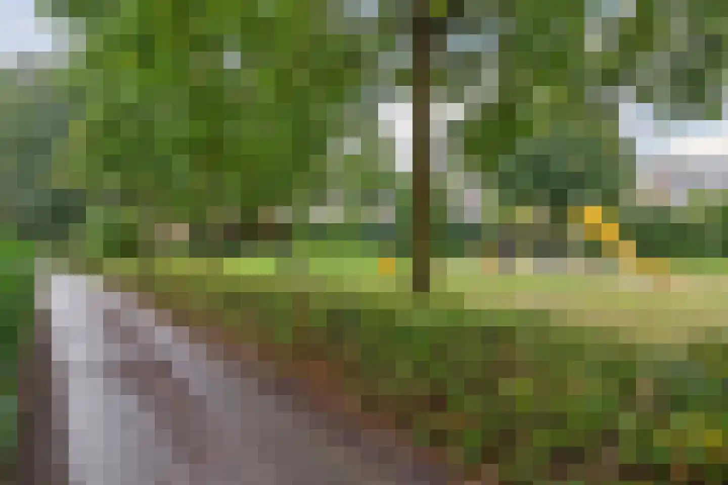 De Boontuijn 3 Nuenen thumbnail 12