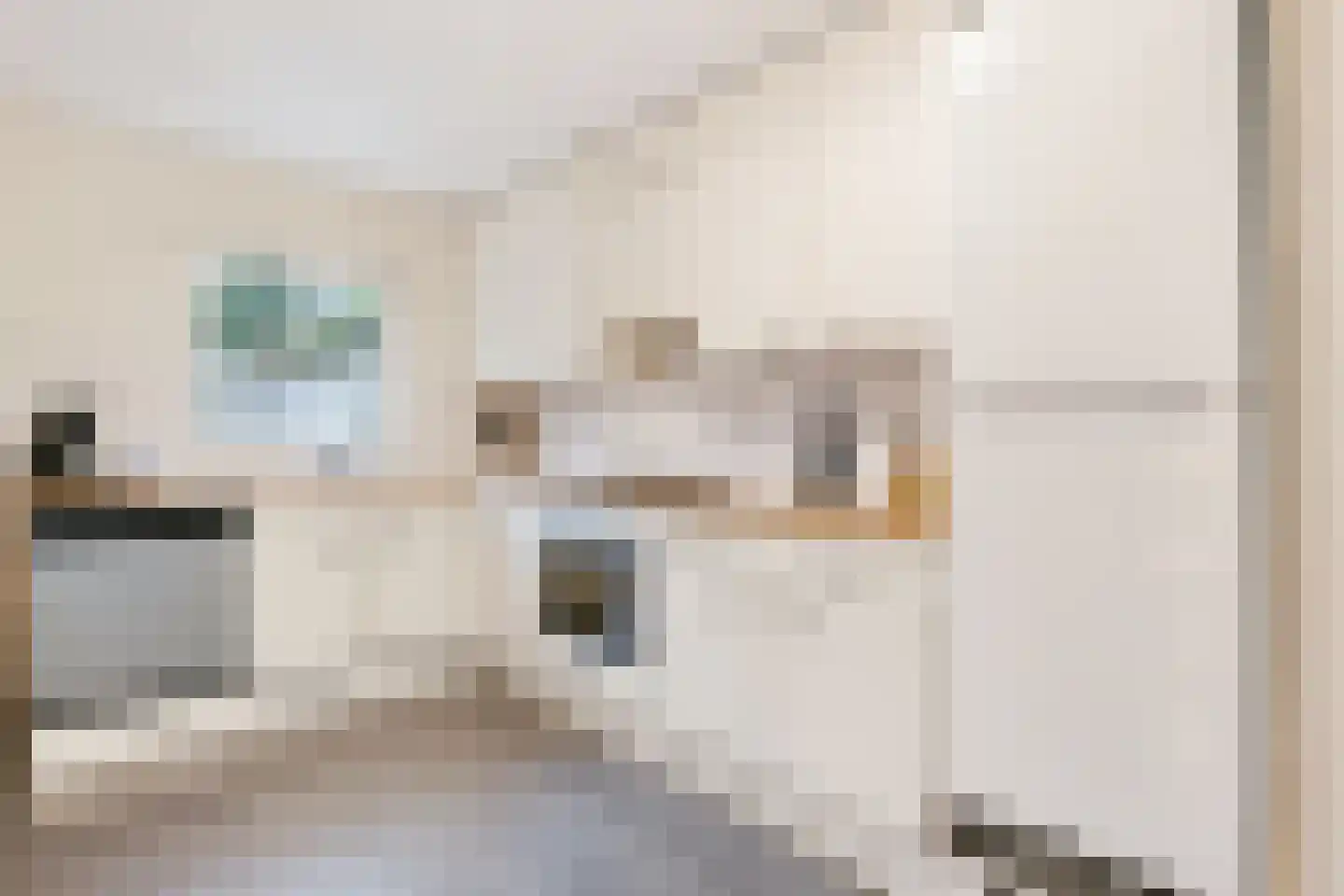 De Boontuijn 3 Nuenen thumbnail 21