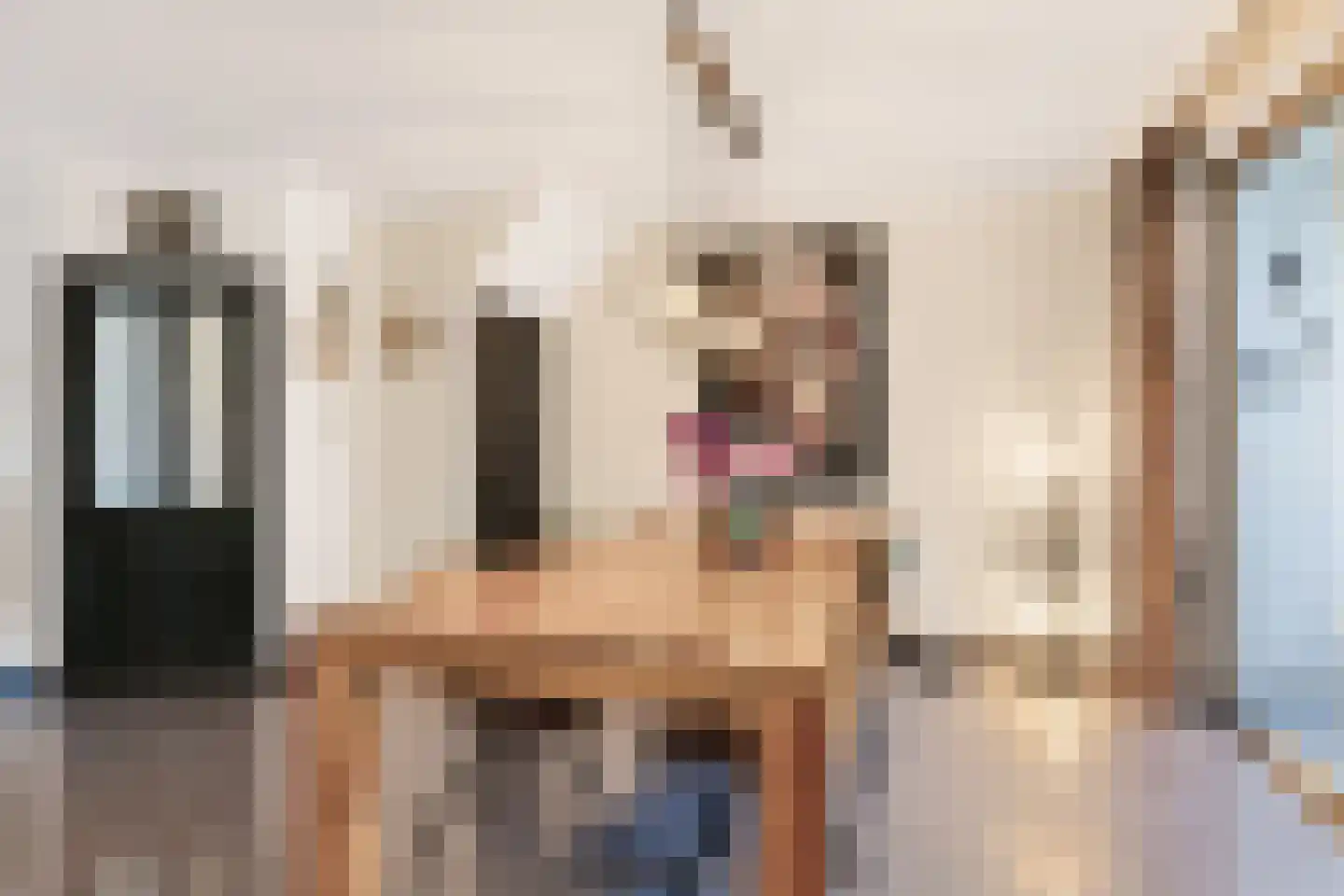 De Boontuijn 3 Nuenen thumbnail 5
