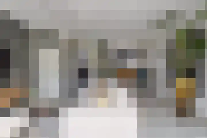 De Boorne 16 Haaksbergen thumbnail 13