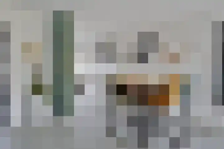 De Boorne 16 Haaksbergen thumbnail 17