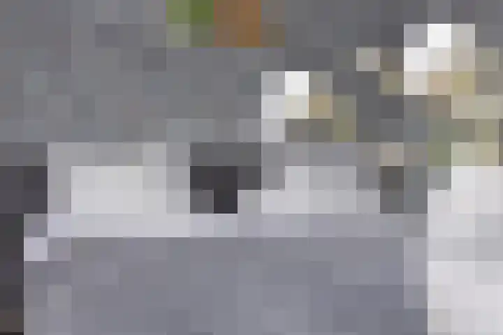 De Boorne 16 Haaksbergen thumbnail 27