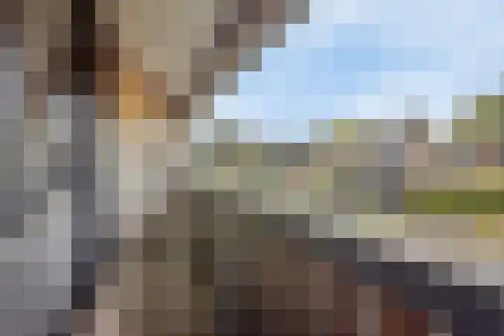 De Boorne 16 Haaksbergen thumbnail 30
