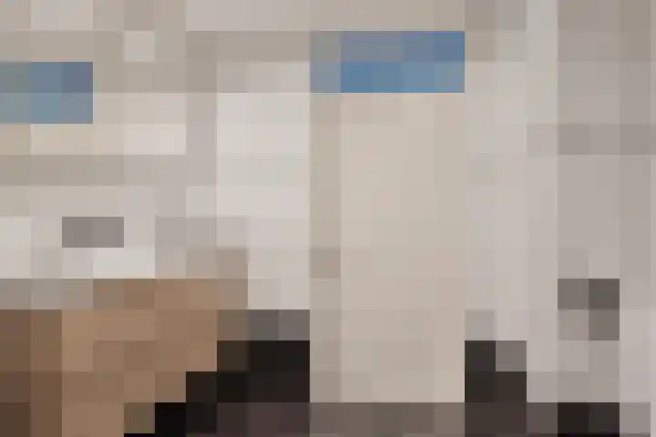 De Boorne 16 Haaksbergen thumbnail 31