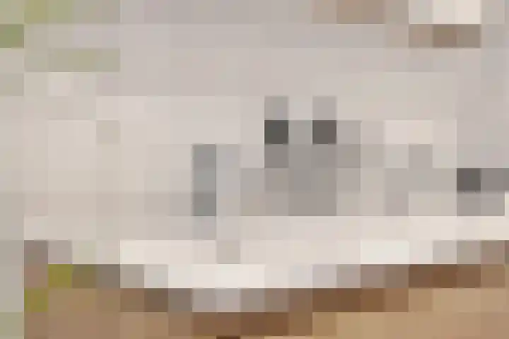 De Boorne 16 Haaksbergen thumbnail 32