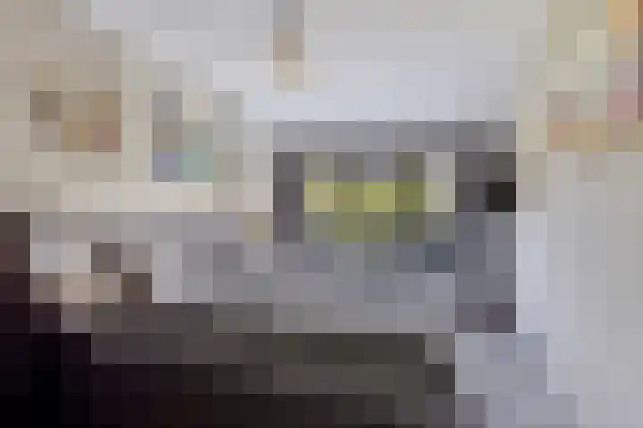 De Boorne 16 Haaksbergen thumbnail 35