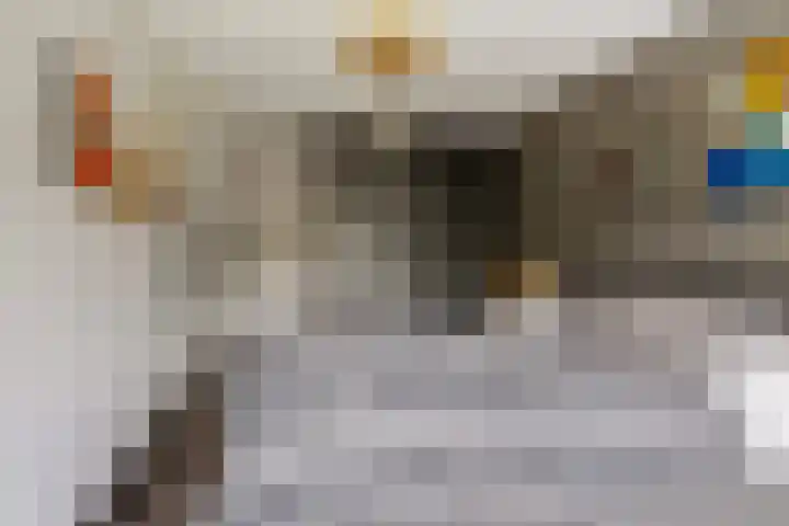 De Boorne 16 Haaksbergen thumbnail 36
