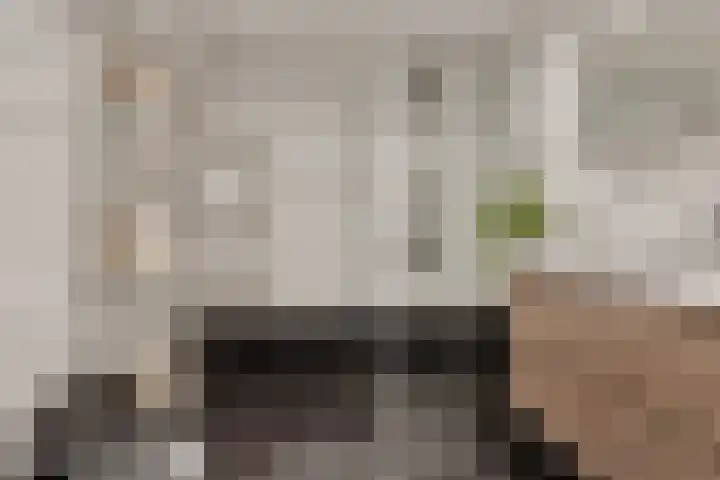 De Boorne 16 Haaksbergen thumbnail 4