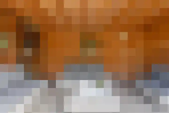 De Boorne 16 Haaksbergen thumbnail 41