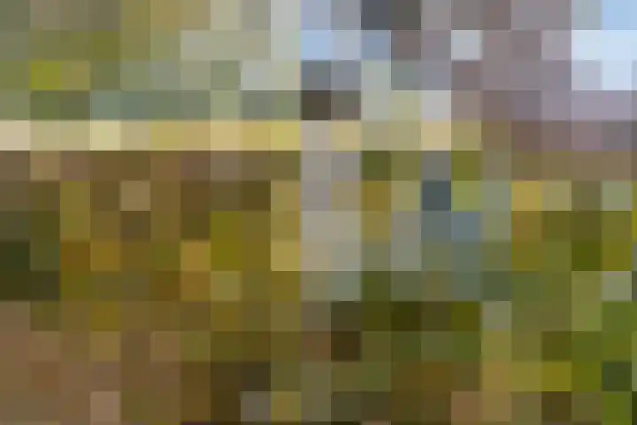De Boorne 16 Haaksbergen thumbnail 42