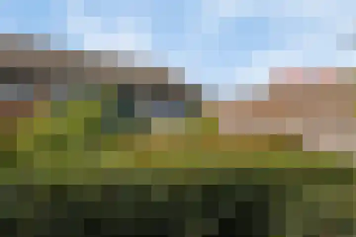 De Boorne 16 Haaksbergen thumbnail 46