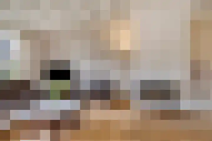 De Boorne 19 Haaksbergen thumbnail 15