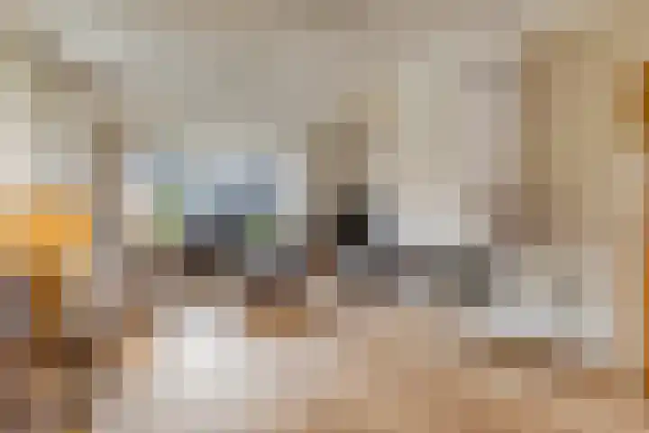 De Boorne 19 Haaksbergen thumbnail 21