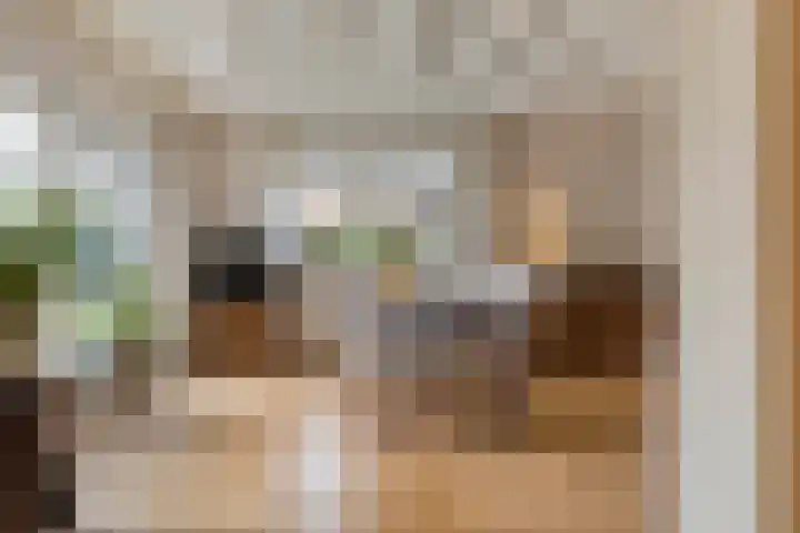De Boorne 19 Haaksbergen thumbnail 23