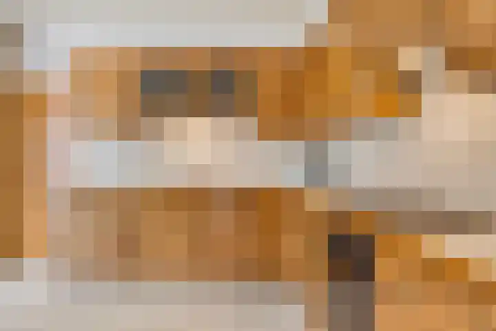 De Boorne 19 Haaksbergen thumbnail 25