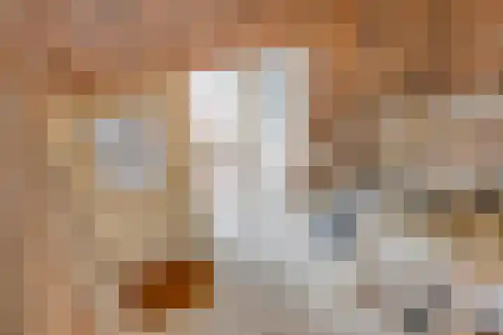 De Boorne 19 Haaksbergen thumbnail 33