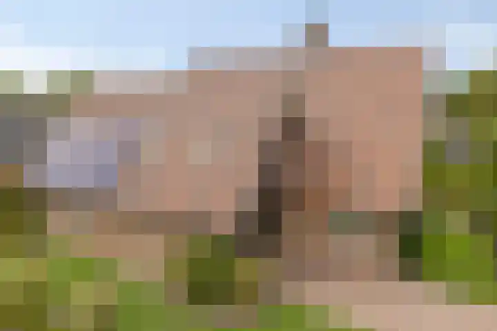 De Boorne 19 Haaksbergen thumbnail 4