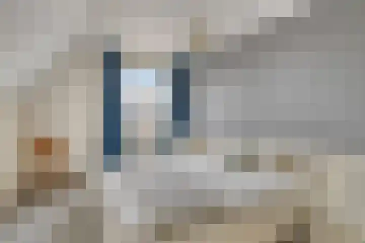De Boorne 19 Haaksbergen thumbnail 40