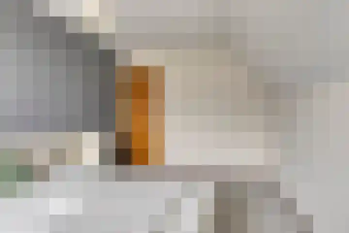 De Boorne 19 Haaksbergen thumbnail 41