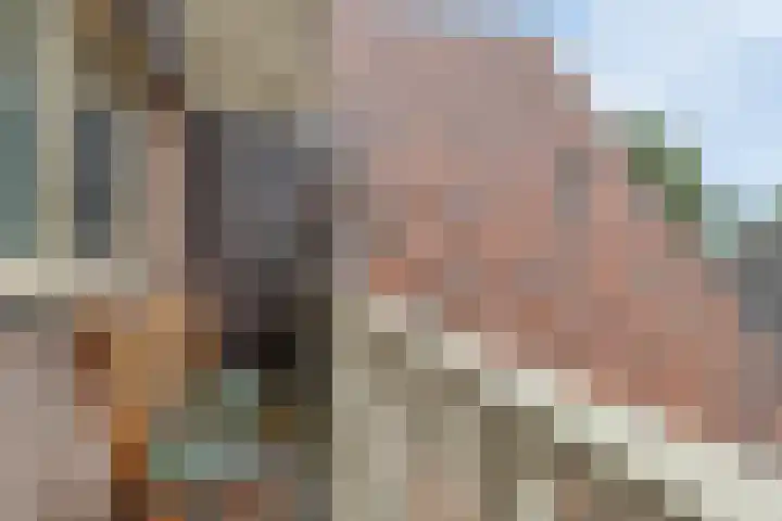 De Boorne 19 Haaksbergen thumbnail 46