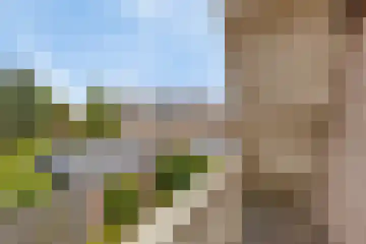 De Boorne 19 Haaksbergen thumbnail 47