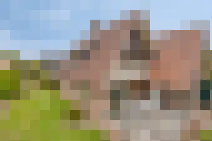 De Boorne 19 Haaksbergen thumbnail 50