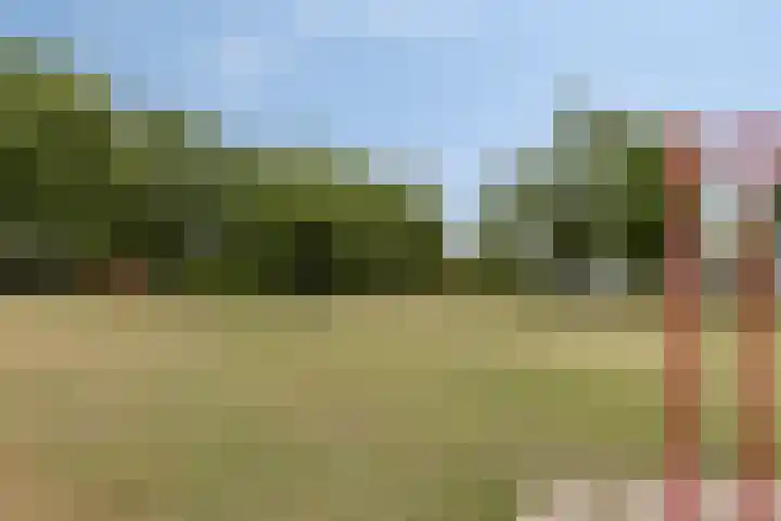 De Boorne 19 Haaksbergen thumbnail 52