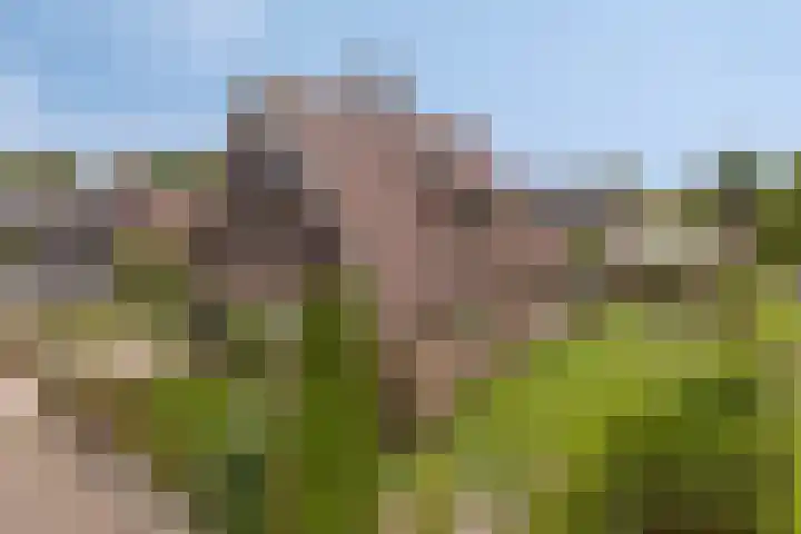 De Boorne 19 Haaksbergen thumbnail 7