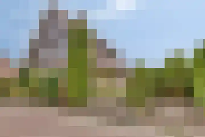 De Boorne 19 Haaksbergen thumbnail 9