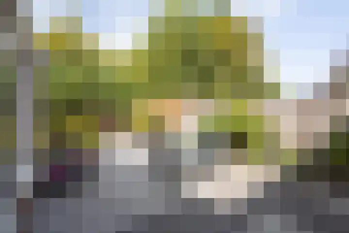 De Boorne 35 Haaksbergen thumbnail 33