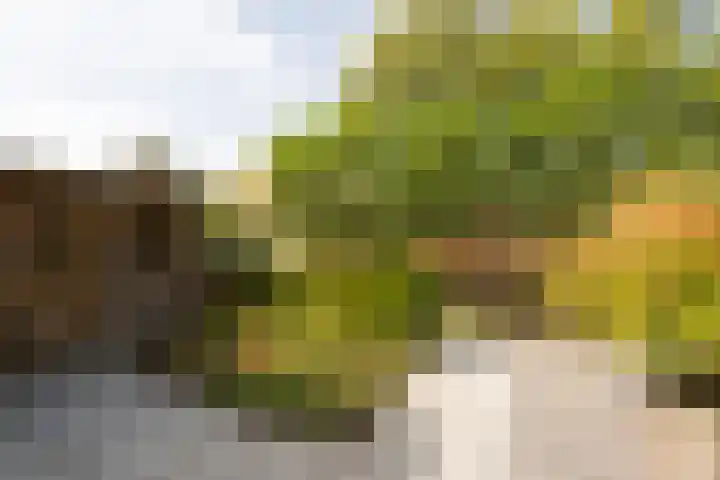 De Boorne 35 Haaksbergen thumbnail 34