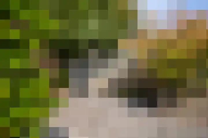 De Boorne 35 Haaksbergen thumbnail 35