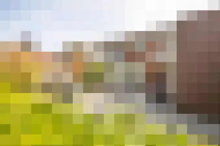 De Boorne 35 Haaksbergen thumbnail 36