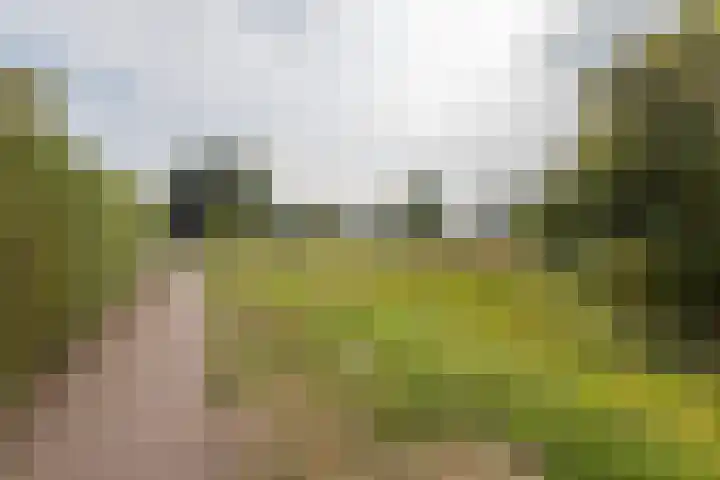 De Boorne 35 Haaksbergen thumbnail 39
