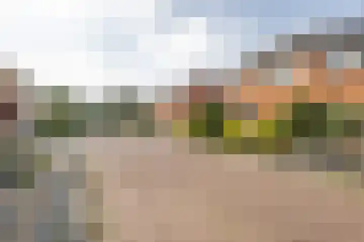 De Boorne 35 Haaksbergen thumbnail 41
