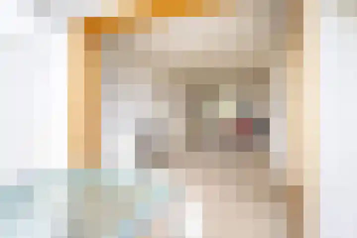 De Boorne 35 Haaksbergen thumbnail 8